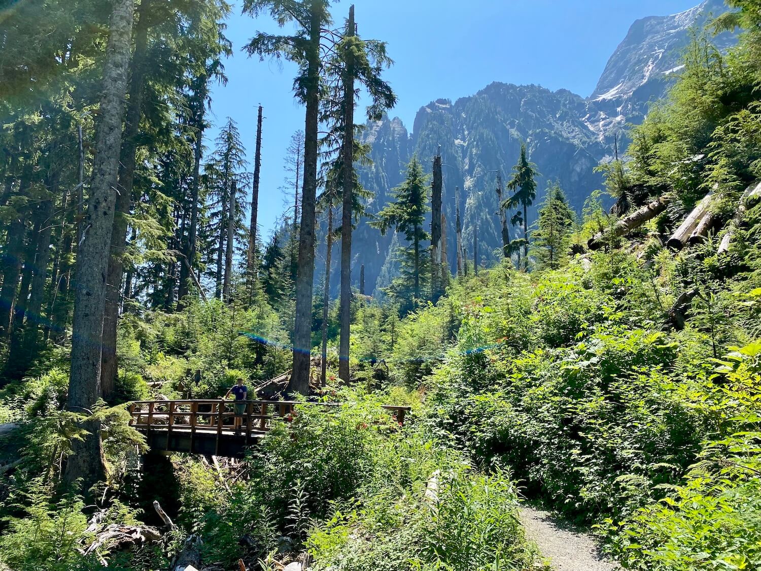 This stunning wilderness scene is viewed on the hiking trail to Big Four Ice Caves. The gravel trail leads to a foot bridge made of wood and Matthew Kessi stands on the bridge for the photo. Around him are fallen trees from former avalanches and the towering mountains beyond the forest.