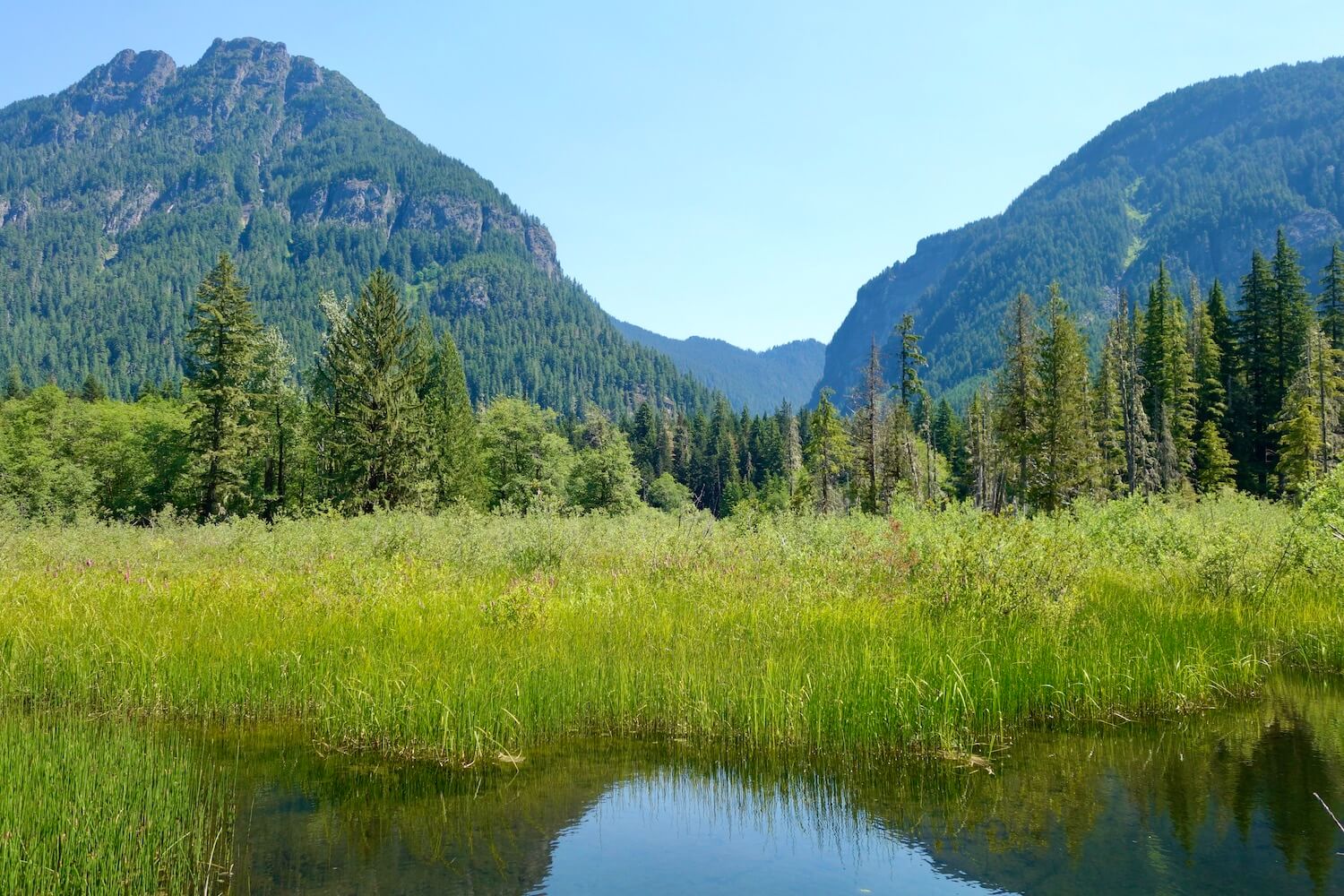 This meadow scene is at the start of the trail that goes to Big Four Ice Caves. The placid water is clear and surrounded by tall green grass and fir trees in the distance. The horizon has several mountains under a blue sky.