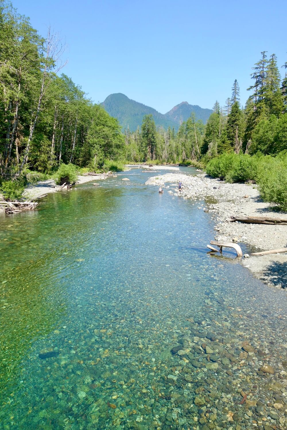 The Stillaguamish River flows with pristine clear mountain runoff and a patchwork of round rocks. The wilderness in the background has mountains covered in green fir trees.