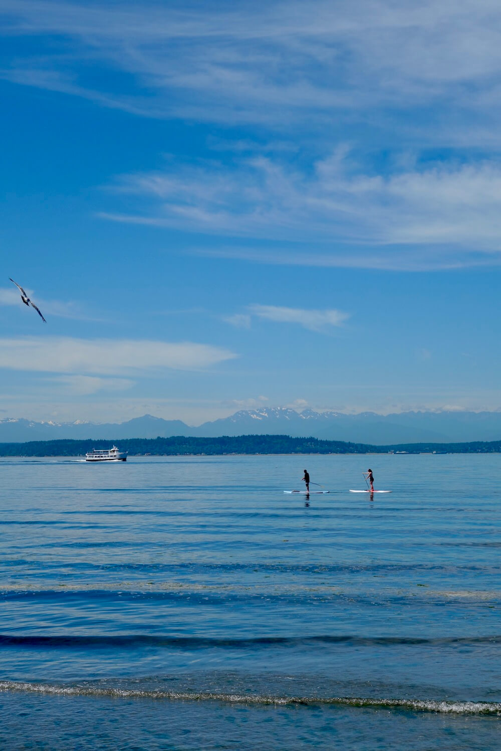 Seattle outdoors in the Summer has many things to do. Here, two paddle boarders are riding through the rolling blue waves of the Salish Sea as a small tour boat is cruising through the water with the Olympic Mountains rising up in the background.