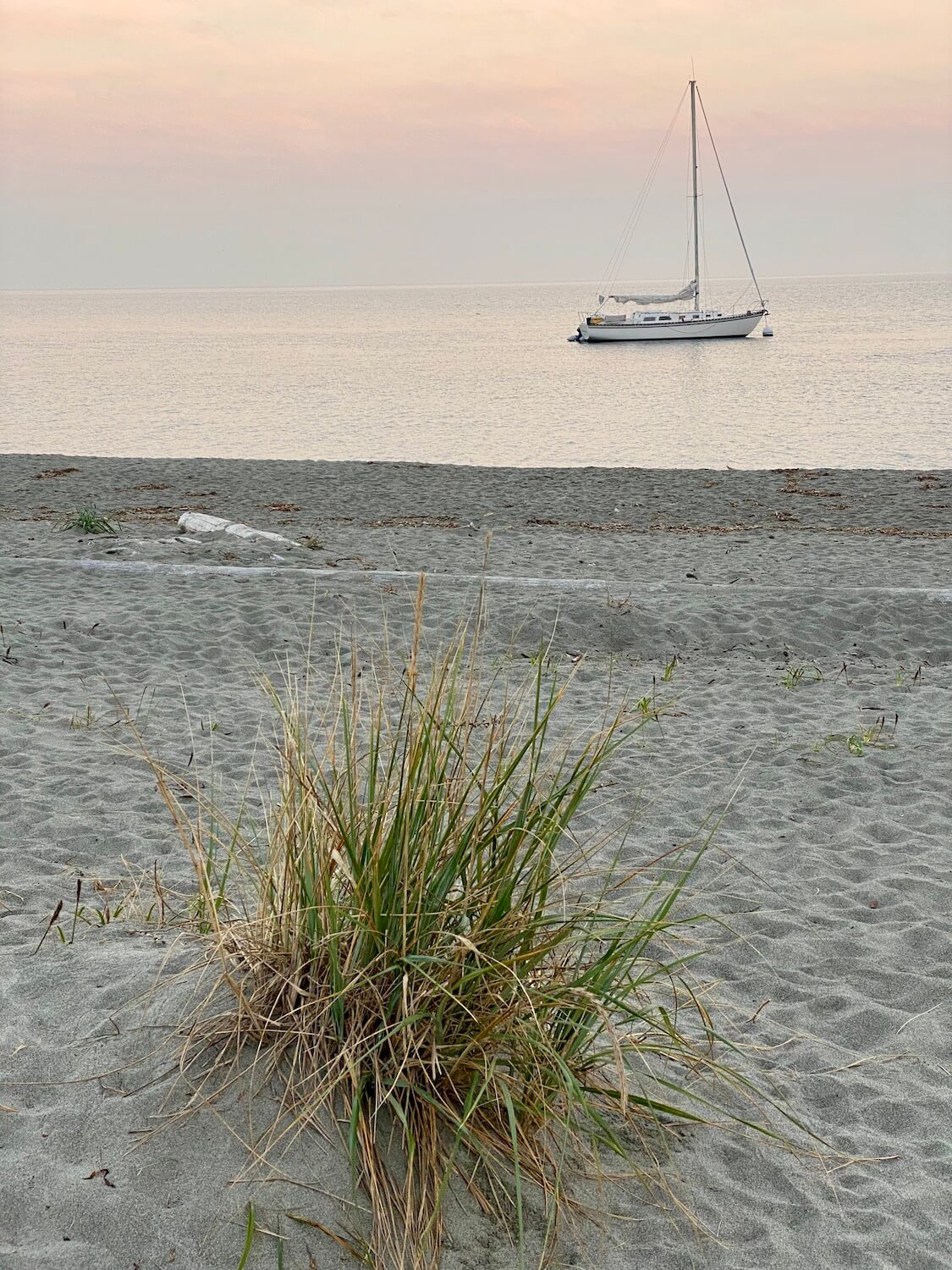 A sailboat sits quietly in the ocean while the sunset hues of Pink and purple glow on the horizon. In the foreground is a tuft of green grass on a sandy beach.