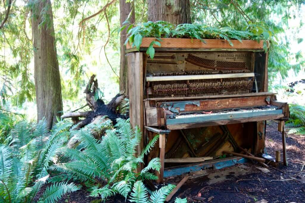 This old piano sits under the canopy of a beautiful fern garden on the Kitsap Peninsula in Washington State. The piano is falling apart and seeming to be absorbed into the rich forest.