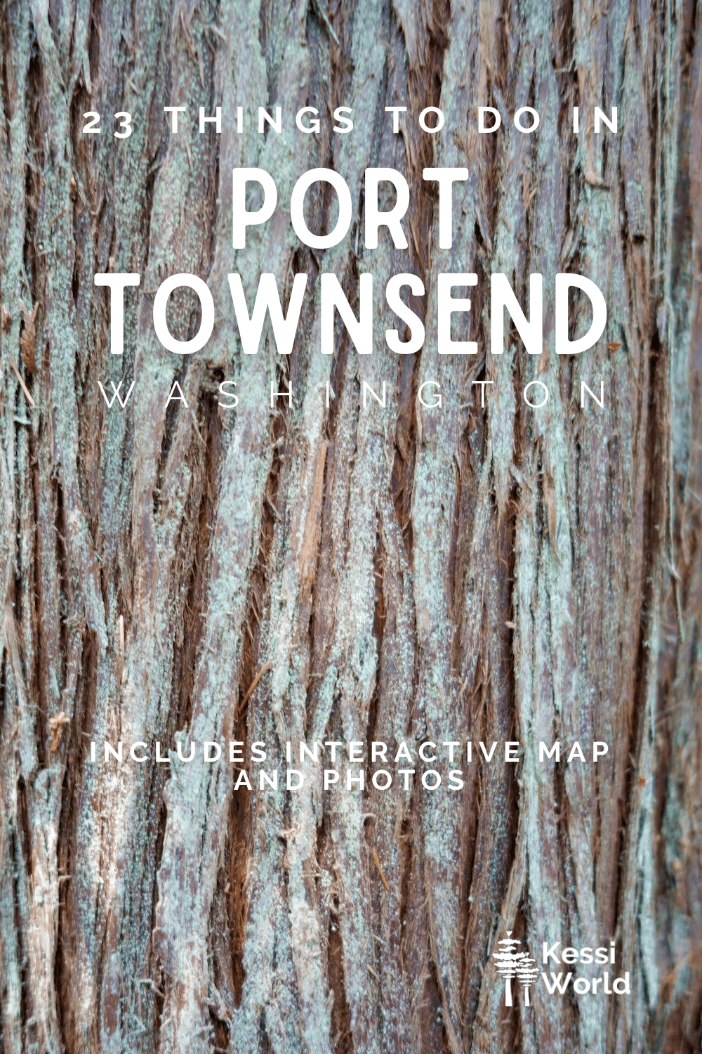 This Pinterest Pin has white lettering that says 23 things to do in Port Townsend, Washington and shows the bark of a cedar tree with multi-colored levels of foam green with sineuy pieces of bark.