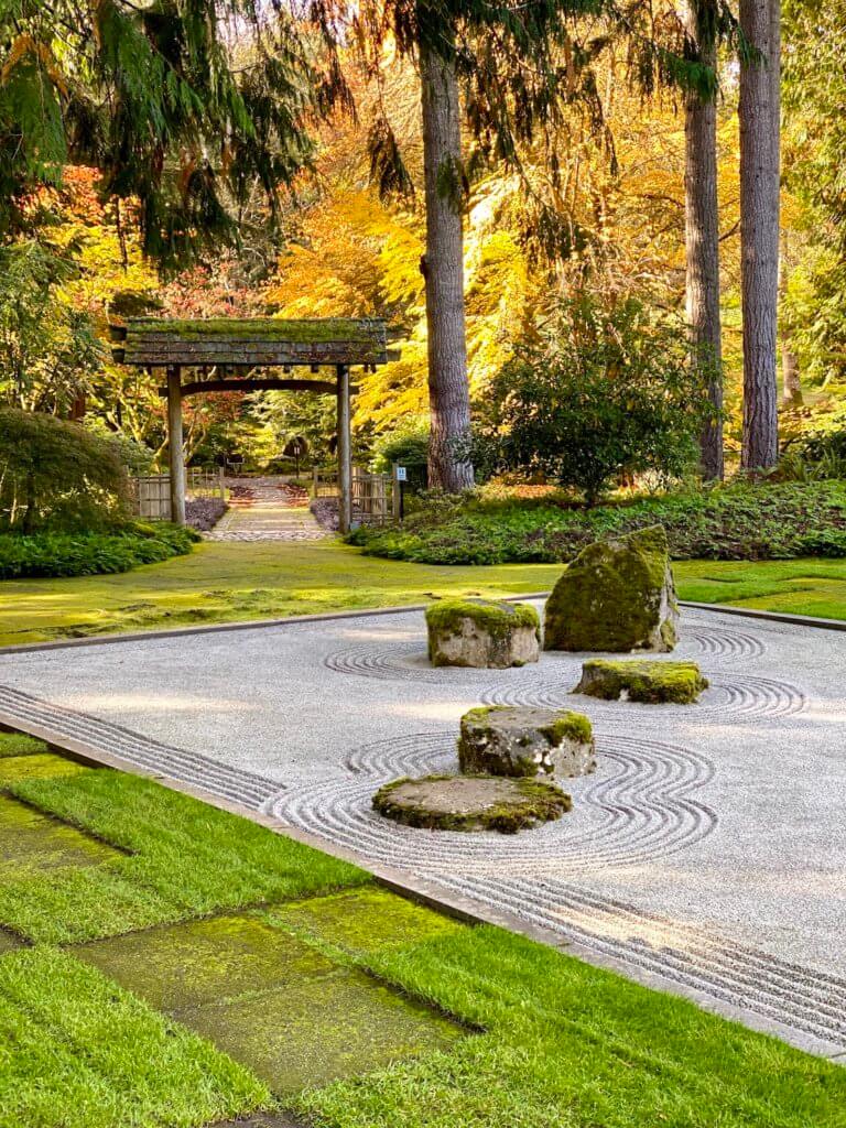 This peaceful setting shows a Japanese garden in a Fall setting. The gravel is raked in perfect movement around five large stones and the rectangular space is surrounded by lush green grass. The trees in the background are colorful will fall leaves and they surround a simple pagoda.