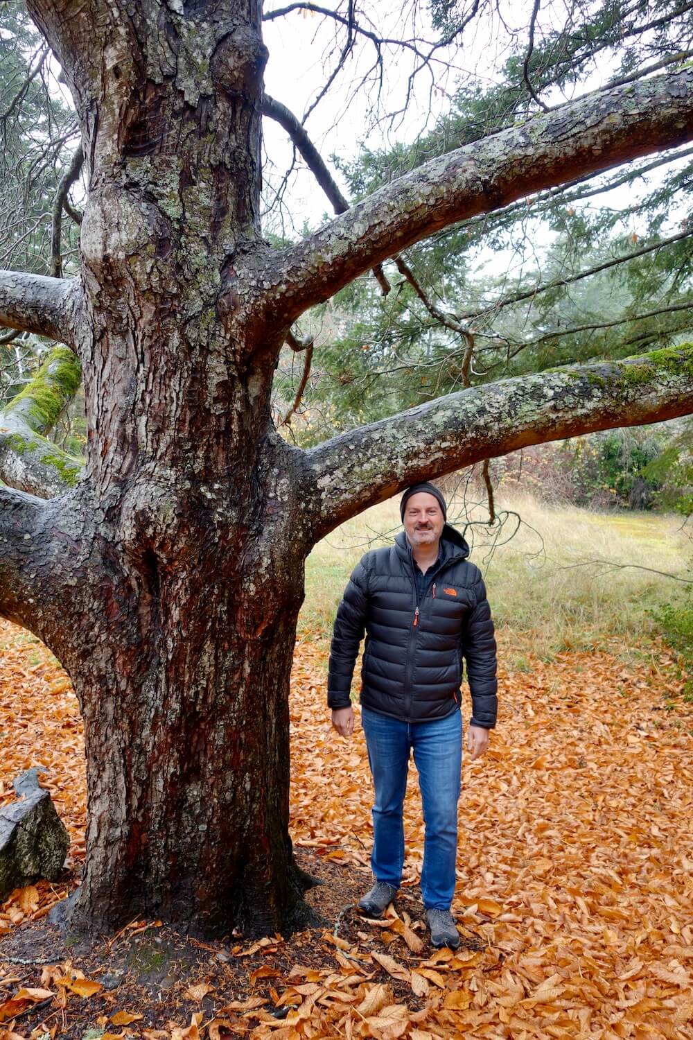 Matthew Kessi poses for a photo standing under a large tree. He is just the height of the first thick branch on the tree. His feet are surrounded by hundreds of bright orange leaves. This Fall scene is flavored by a damp tone of moss and gray rainy skies.