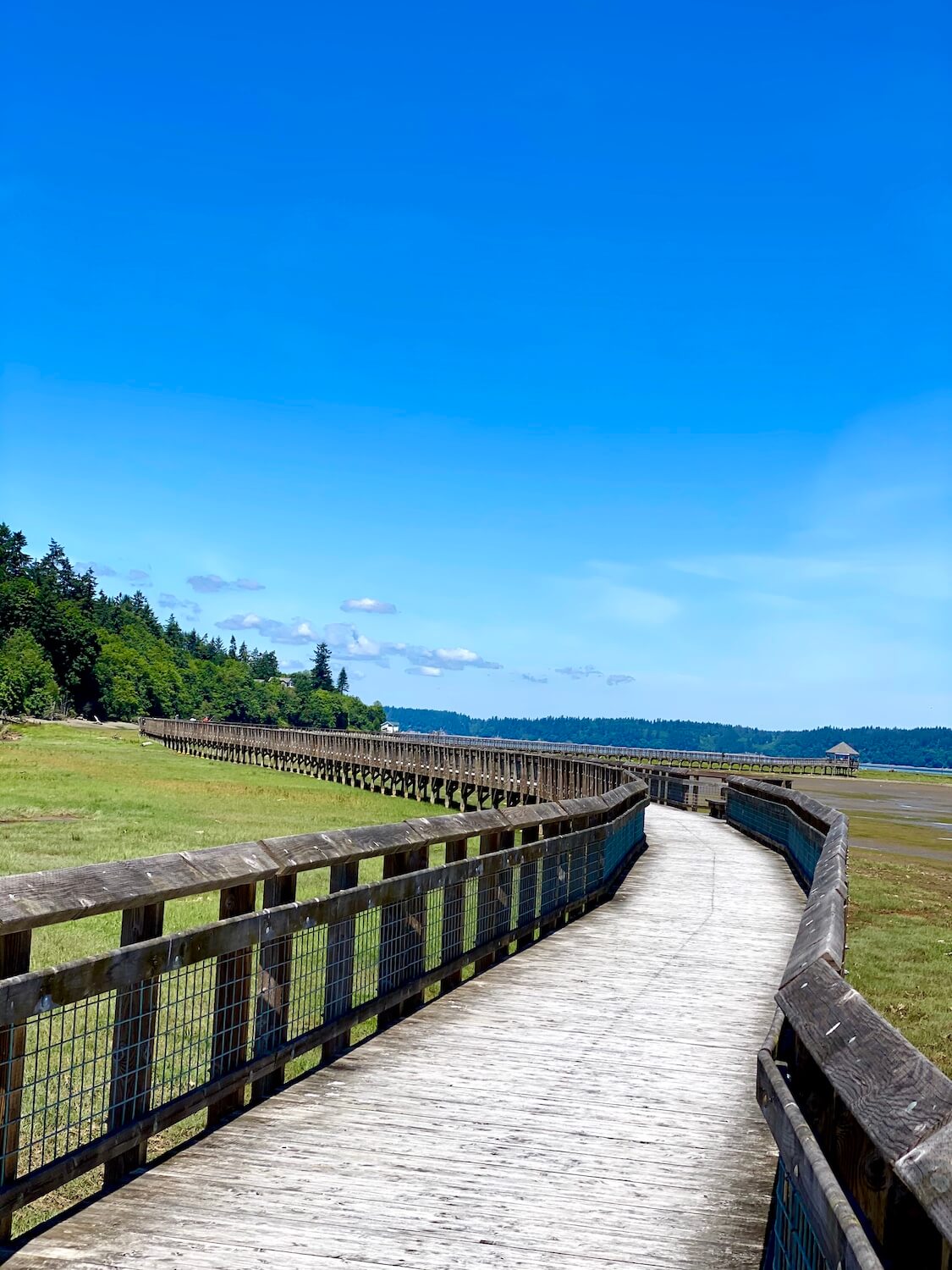 The Nisqually Refuge has a long boardwalk that winds out over the tidal flats to a gazebo, barely seen in this photo at the very end. The grass is bright green and sky blue.