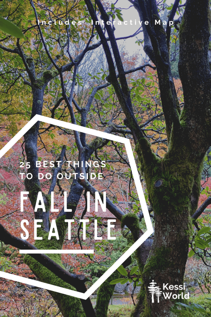 This Pinterest Pin has the title written in white print that says "25 of the best things to do outside, Fall in Seattle. The background is a tree losing it's leaves while being surrounded by a variety of fall colors on the trees nearby.