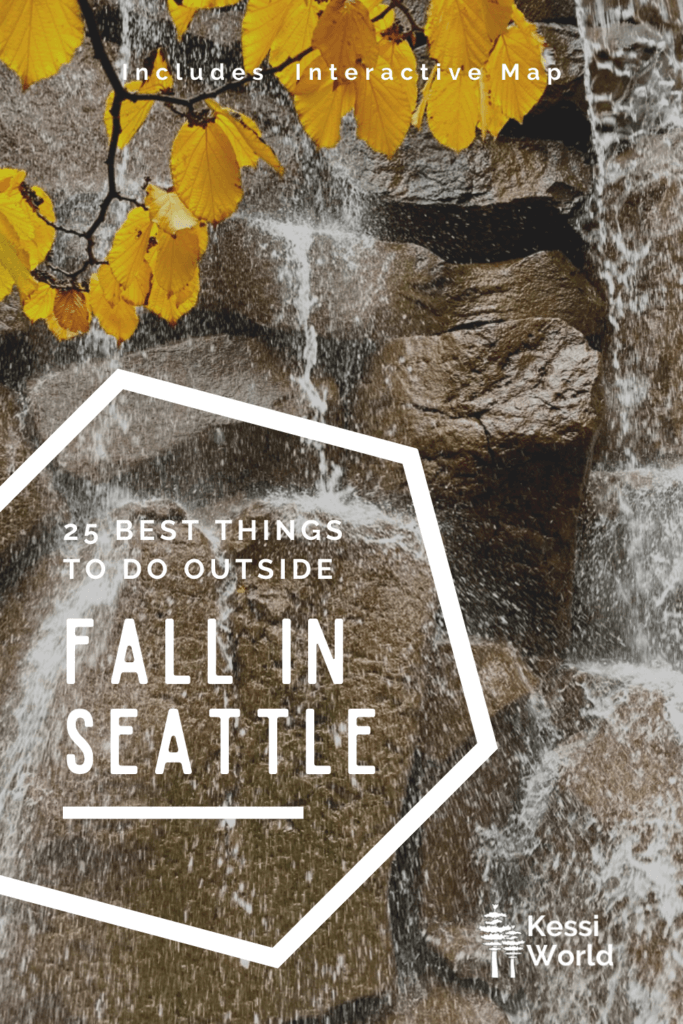 This Pinterest Pin has the title written in white print that says "25 of the best things to do outside, Fall in Seattle. The photo shows water splashing off the rocky cliff of a waterfall while one lone tree branch with yellow leaves drapes in front of the fountain.
