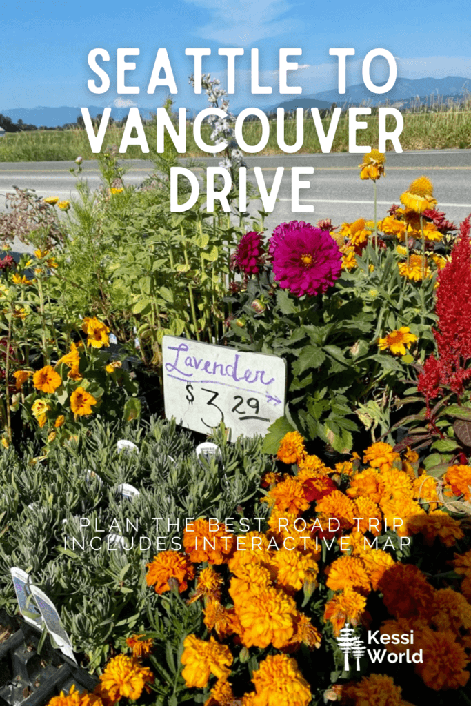 This Pinterest pin depicts a farm flower stand at the side of the road with various brightly colored flowers and features the title Seattle to Vancouver Drive. There is a country highway in the background with farmland and rolling hills.