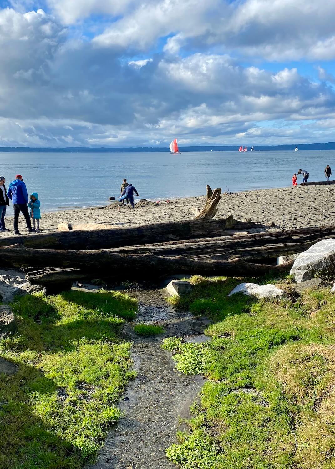 The beautiful coastline of the Salish Sea as seen from Golden Gardens park in Seattle. There is a stream babbling through green grass and under drift logs and rocks out to a beach with a number of people digging and playing in the sand. There are sailboats in the sea under gray clouds.