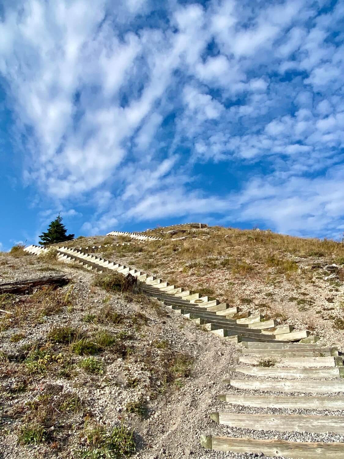 A stairway works up to the top of an ash covered hill on Mount St. Helens.  The sky is bright blue with white fluffy clouds and a small fir tree at the top. 