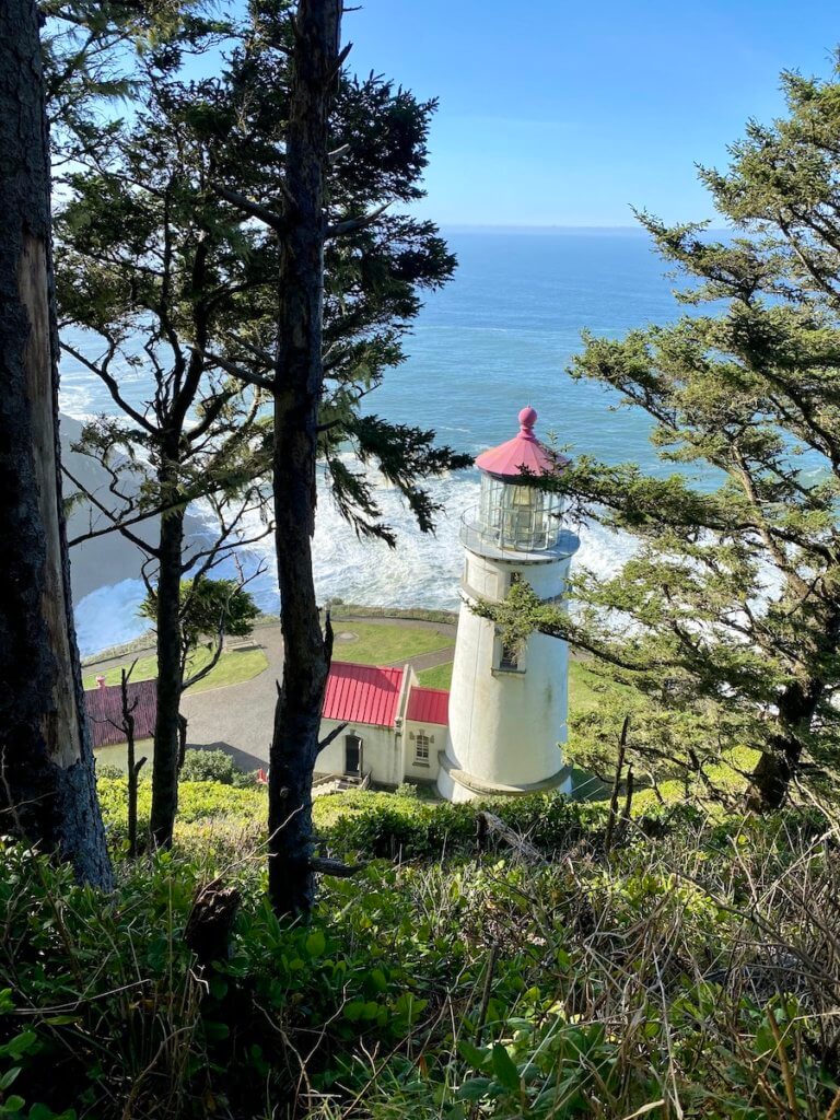 Heceta Head Lighthouse sits on the edge of a 1000 foot cliff leading to the crashing waves of the Pacific Ocean. The trees around the lighthouse are various shades of green and the sky and ocean are bright blue.