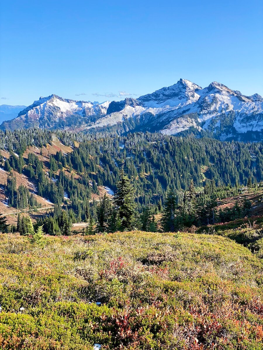 The Tatoosh Mountains rise up opposite of Paradise on Mt. Rainier. The grass and bushes are changing to fall colors.