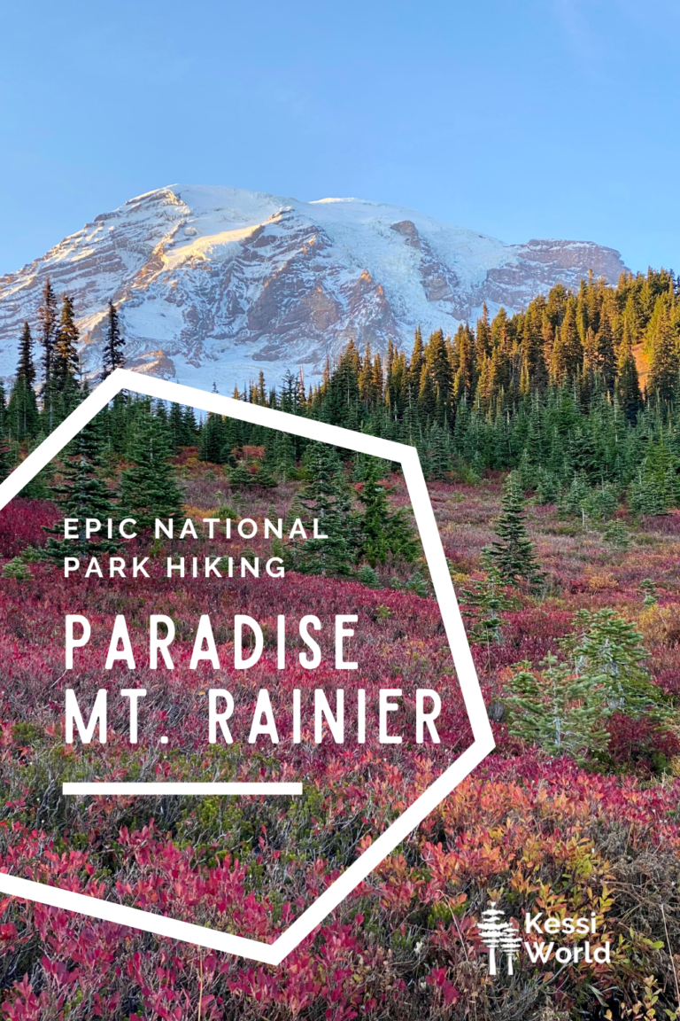 Exploring Paradise at Mt. Rainier -- National Park escape