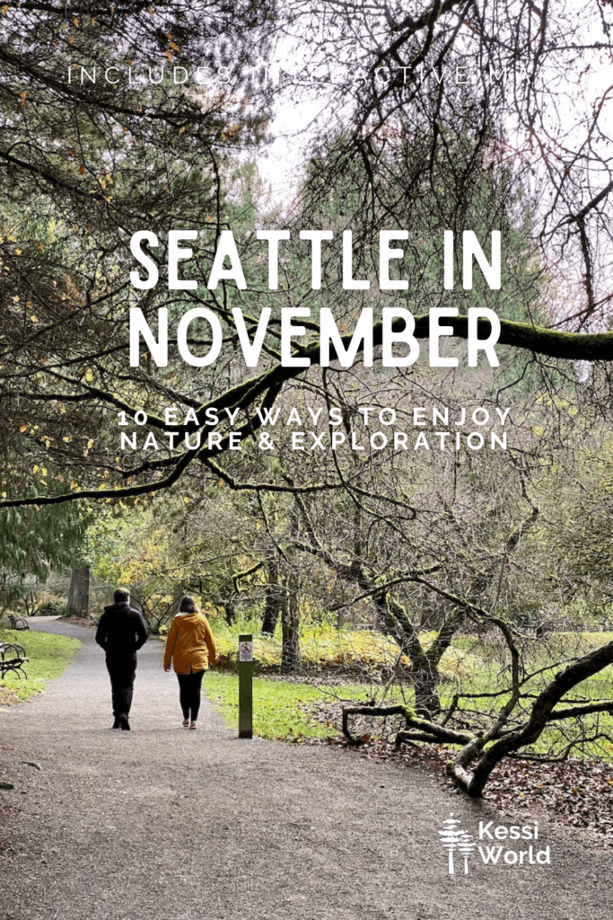 Seattle in November 10 easy ways to find a nature connection Kessi