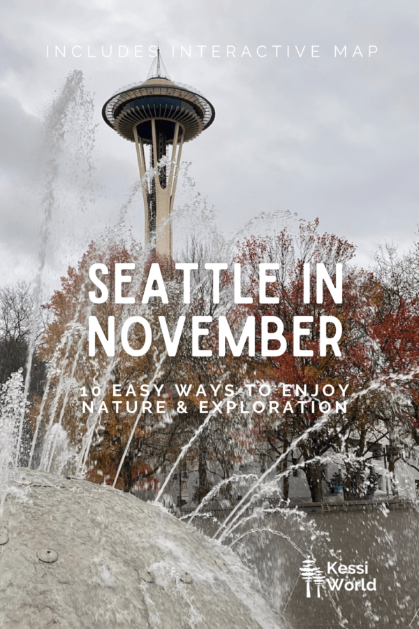 Seattle in November 10 easy ways to find a nature connection Kessi