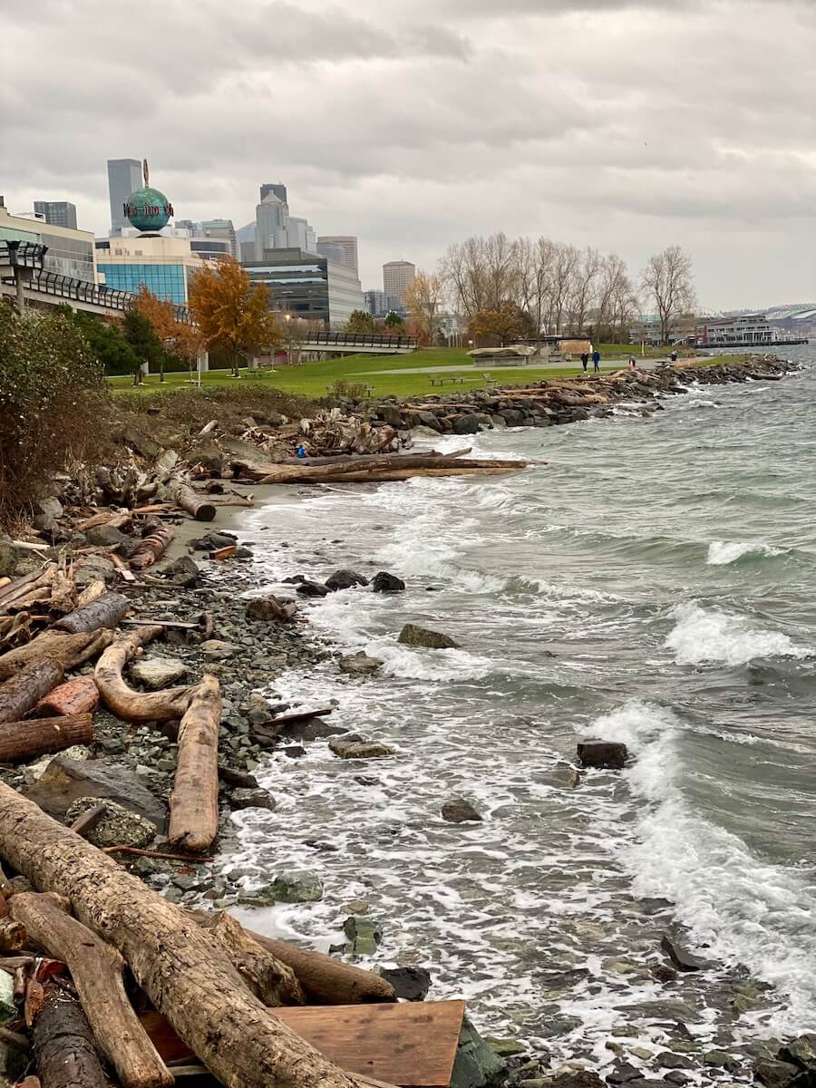 Waves crash on the shore of Downtown Seattle with the skyline of the city in the background. There are drift logs on the beach and the water is churning a green color with white caps.