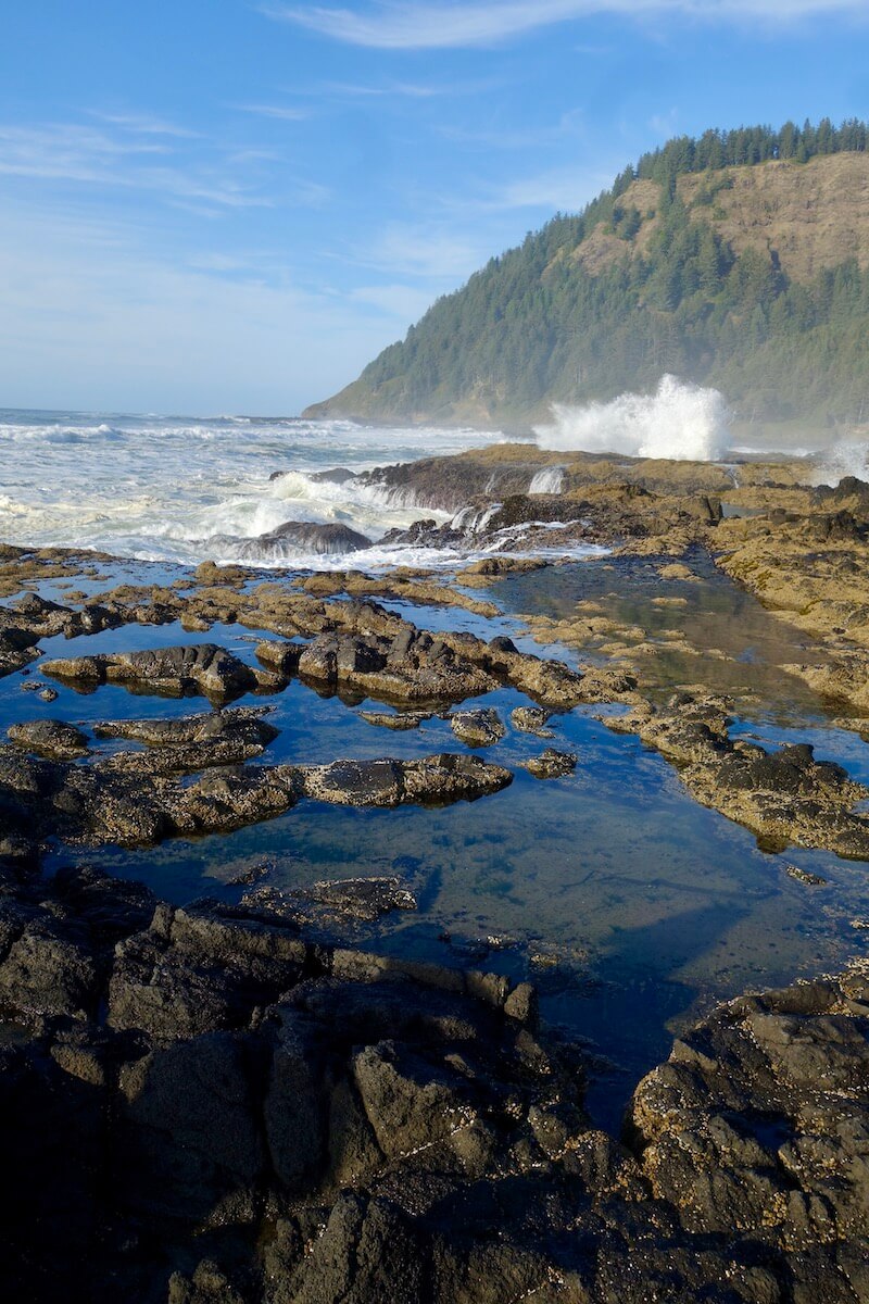 The Oregon Coast is dramatic with rock stacks that are home to tide pools shown here. Meanwhile the waves crash upon the rocks with enough force to create foamy white suds under a blue sky.