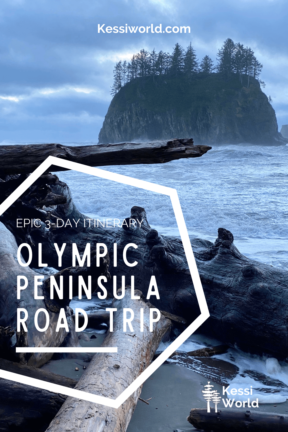 This Pinterest pin shows a stormy Olympic Peninsula beach scene with foamy waves pounding onto a beach with lots of driftwood.