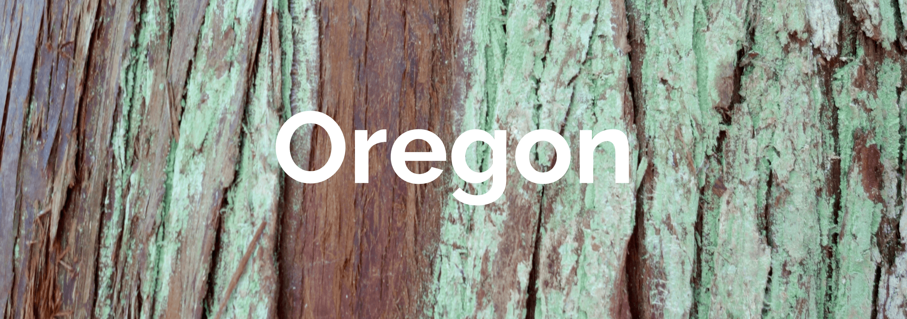 Tile of Cedar Bark that is brown and a moldy green color with the word Oregon in White.
