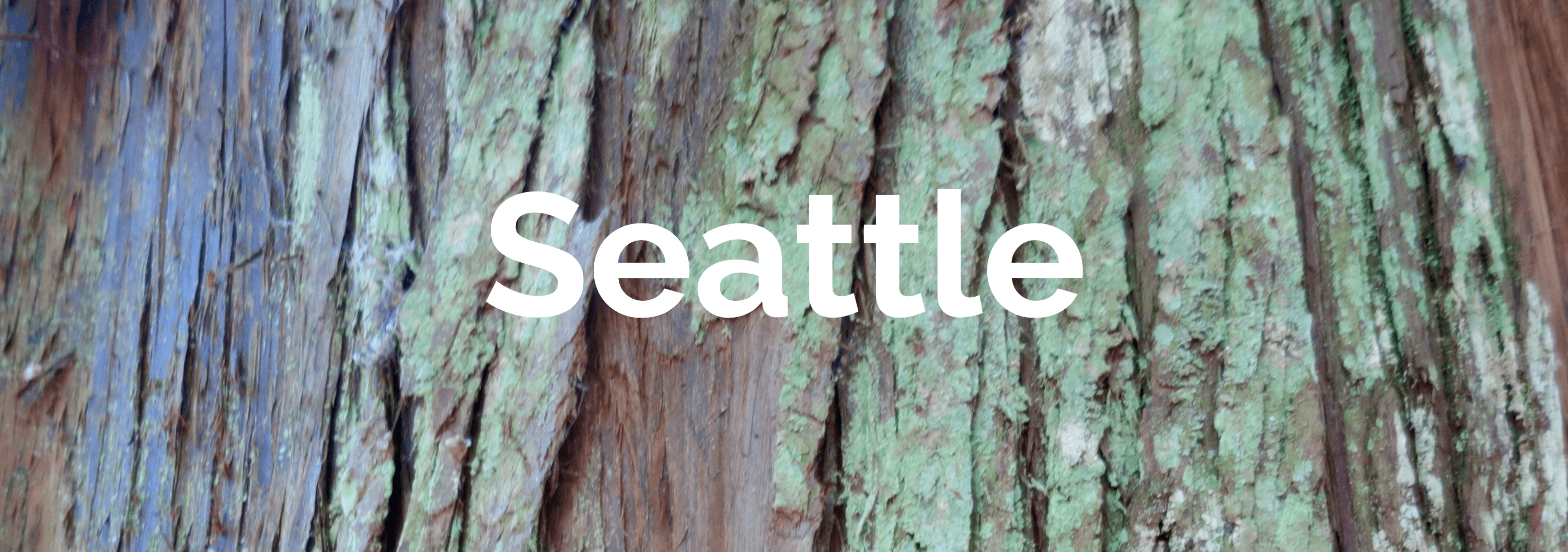 Tile of Cedar Bark that is brown and a moldy green color with the word Seattle in White.
