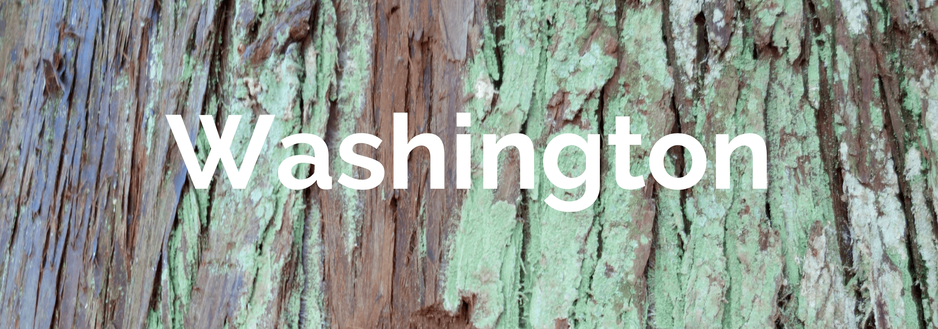 Tile of Cedar Bark that is brown and a moldy green color with the word Washington in White.