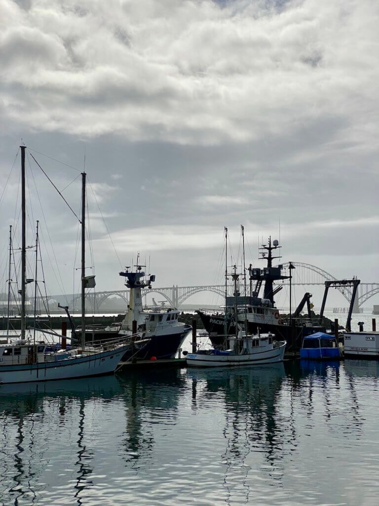 Boats collect in the harbor while an Art Deco style bridge spans the river in the background. The skies are cloudy and gray and the water in the harbor is only rippling slightly.