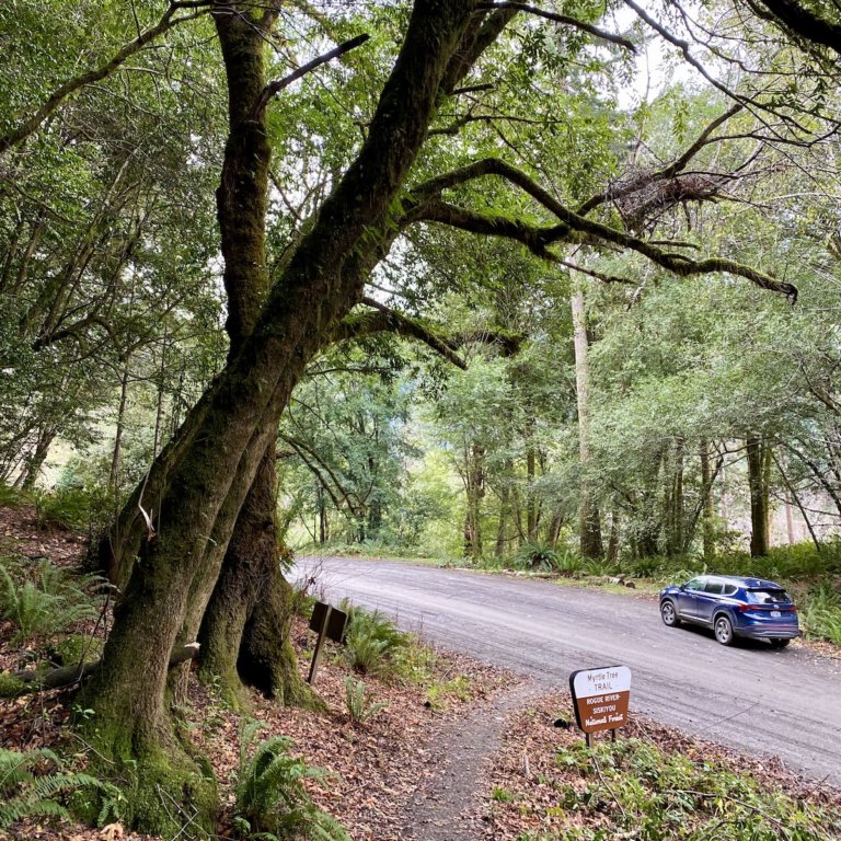 My 10 favorite things to do in Brookings, Oregon