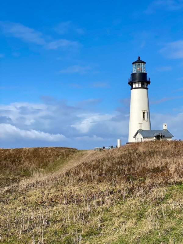 Yaquina Head lighthouse is in the Oregon Coast town of Newport. The building is rounded and painted white with a black cap around the lighting room atop. The sky is bright blue and the grass is dead for the winter.