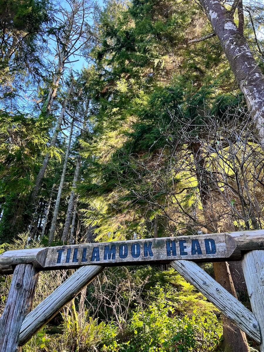 The wood arch to Tillamook Head welcomes hikers on the outskirts of Seaside Oregon. There are a variety of textures of green trees rising above the sign.