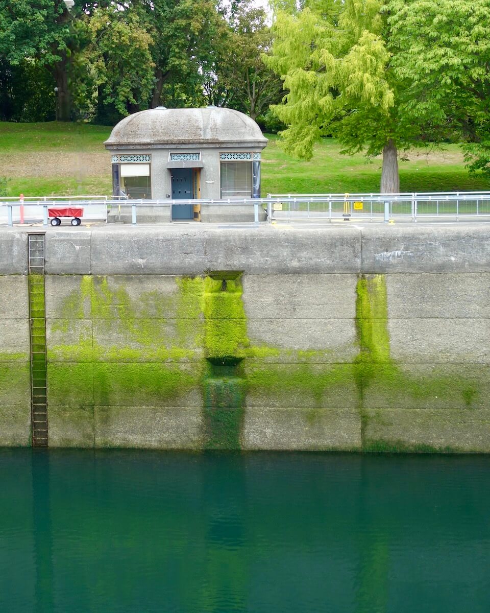 Seattle sight of Ballard Locks show a bright green algae growing along a concrete wall leading up to a red wagon with trees and grass beyond.
