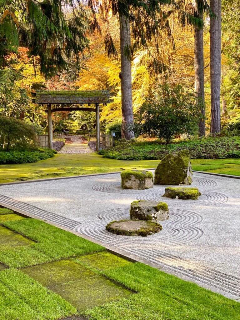 The Japanese Garden at Bloedel Reserve on Bainbridge island, near Seattle, Washington, is blazing with fall foliage shining in the sun. A pagoda leads to a well manicured lawn with perfectly raked gravel in a zen garden.