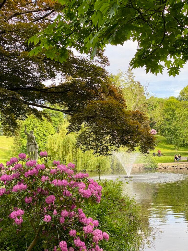 Wright Park in Tacoma, Washington is a wonderful garden scene. Here a roman style statue stands over a pond with a fountain spraying water and ripples moving out toward two people sitting on a park bench enjoying the view. A pink rhododendron is blooming in the foreground while different types of deciduous trees are pushing out their new colorful foliage.