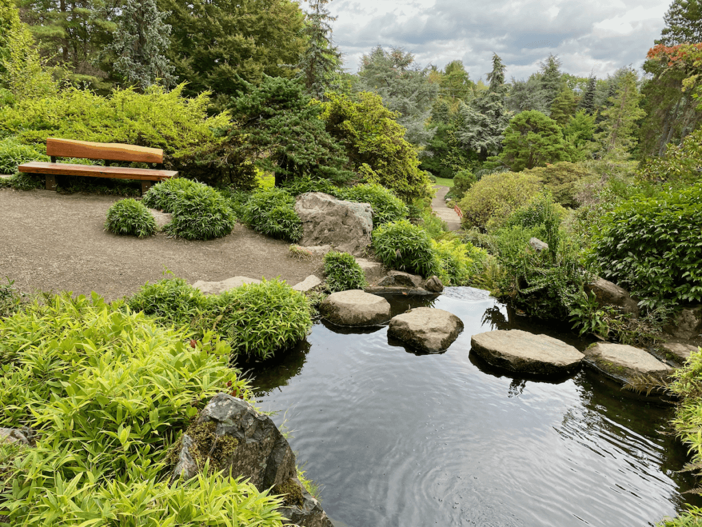 A tranquil garden shows layers upon layers of green foliage with a bench located in the near ground. This is a stepping stone path in a Mystic Nature Experience in the Pacific Northwest.