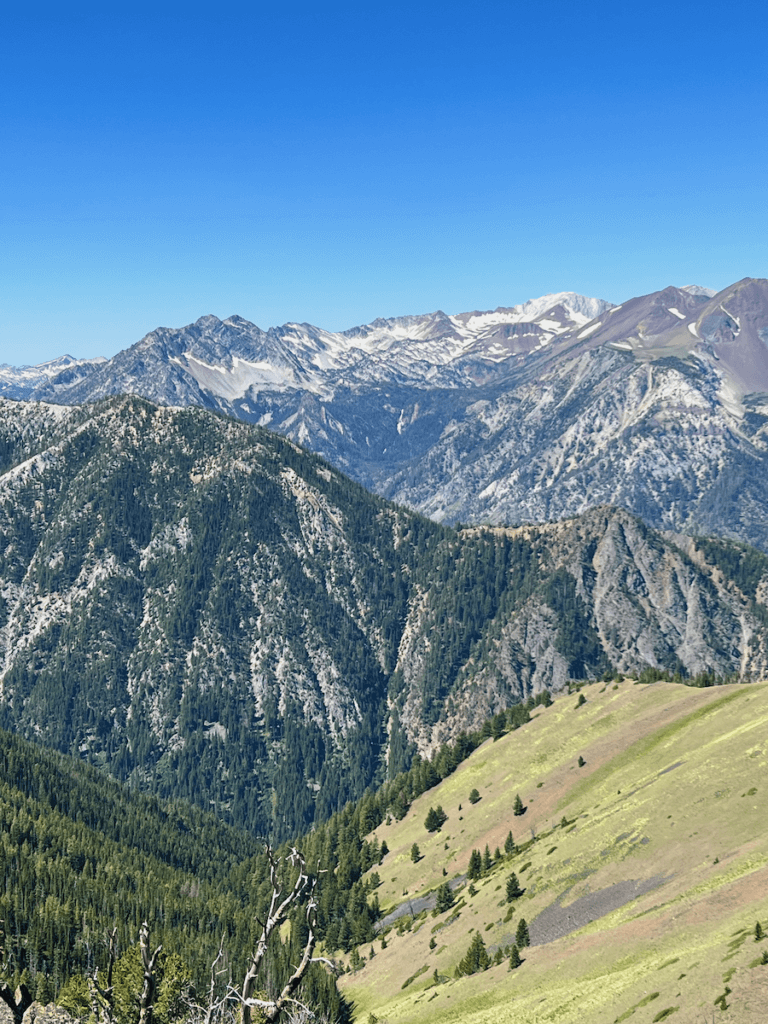 The beautiful rocky peaks of the Wallowa Mountains near Joseph, Oregon. The layers of rocky peaks flow in with fir trees covered a closer in side of Howard Mountain and one side has an open meadow of green grass. The sky above is bright blue.
