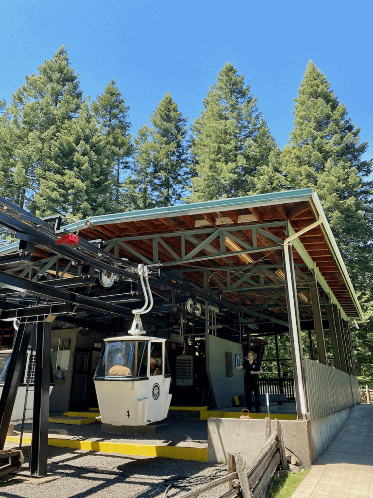 A gondola returns from the top of the mountain and glides into the tramway station. In the background are tall green ponderosa pine trees under a blue sky.