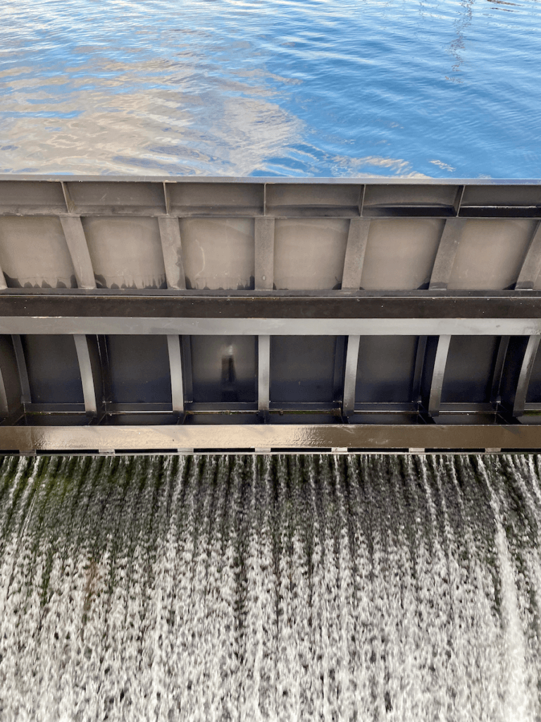 The dam at Ballard Locks is releasing a steady stream of frothy water flowing down through a steel gate. The water on the higher end is blue and calm.