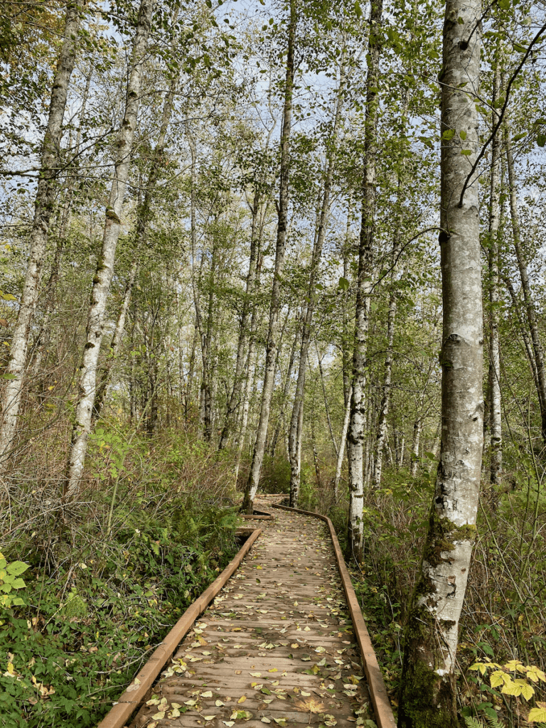 Fall in Seattle -- 25 of the best outdoor things to do