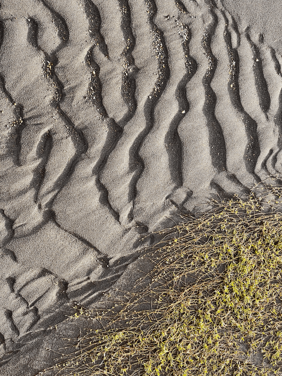 Ripples on the sand caused by tides flowing in and out of the Salish sea while some grasses have a fall hue to them.