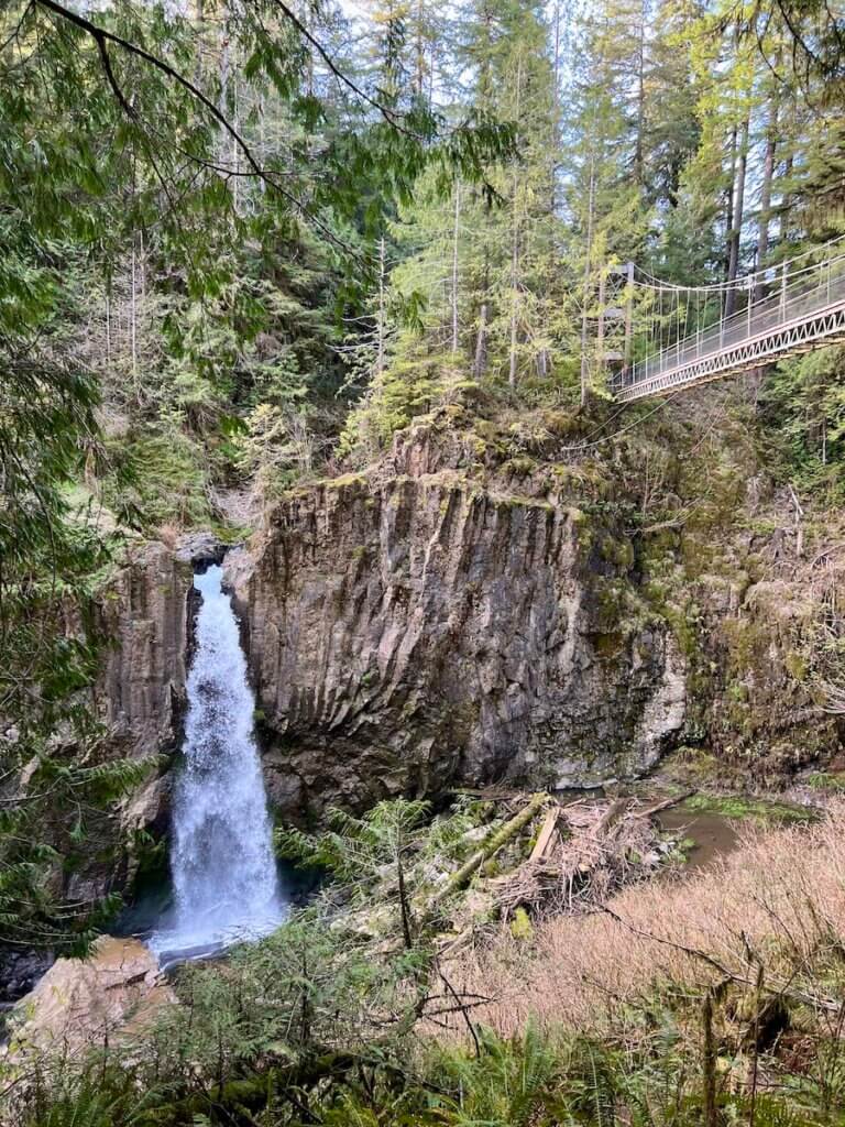 A waterfall gushes over basalt lava rock while a suspension bridge crosses high above. There are cedar and other fir trees framing in this photo.