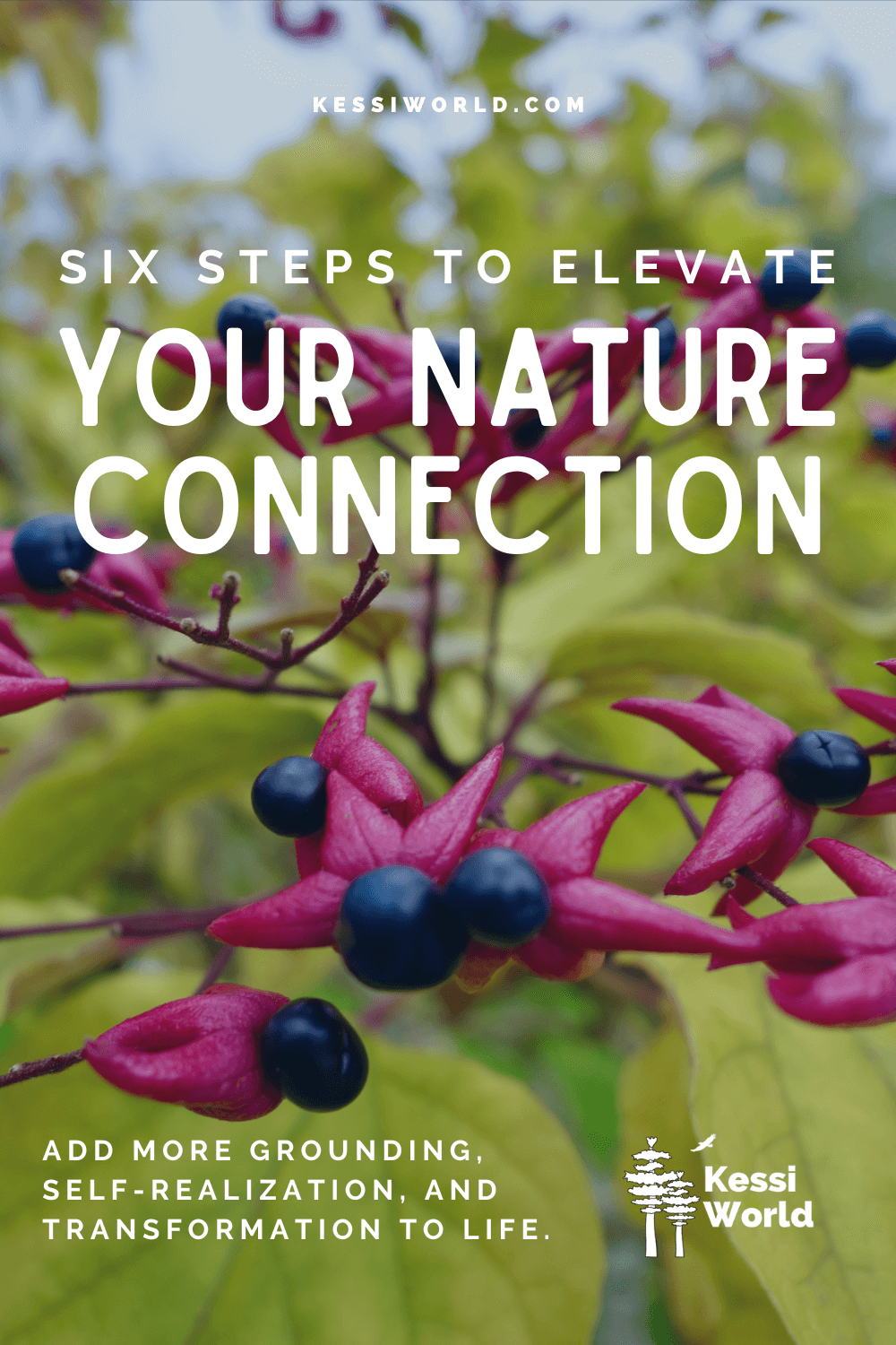 Pinterest pin that shows purple flowers with blue berries at the end and the writing says six steps to elevate your nature connection.
