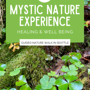 This is a product pin selling the Mystic Nature Experience. The background image is green clovers among lush wet moss.