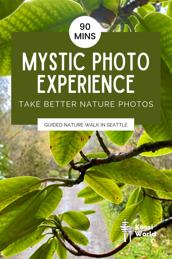 A product tile promoting mystic photo experience in Washington Park Arboretum in Seattle. The photo in the background is the green leaves of a rhododendron.
