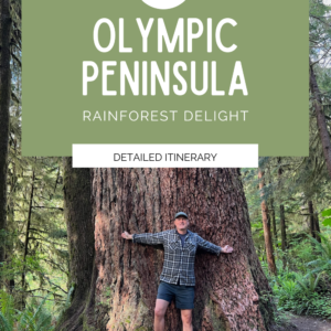 This product tile highlights an Olympic Peninsula itinerary and shows Matthew Kessi poses in front of an age old Douglas fir tree with his hands stretched out.