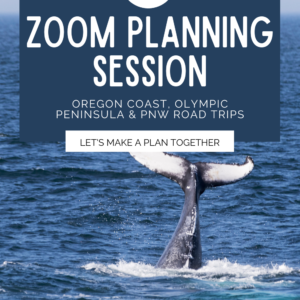 This product tile promotes a thirty minute zoom session to help people plans trips around the Pacific Northwest. In the photo is a whale diving into the blue ocean.