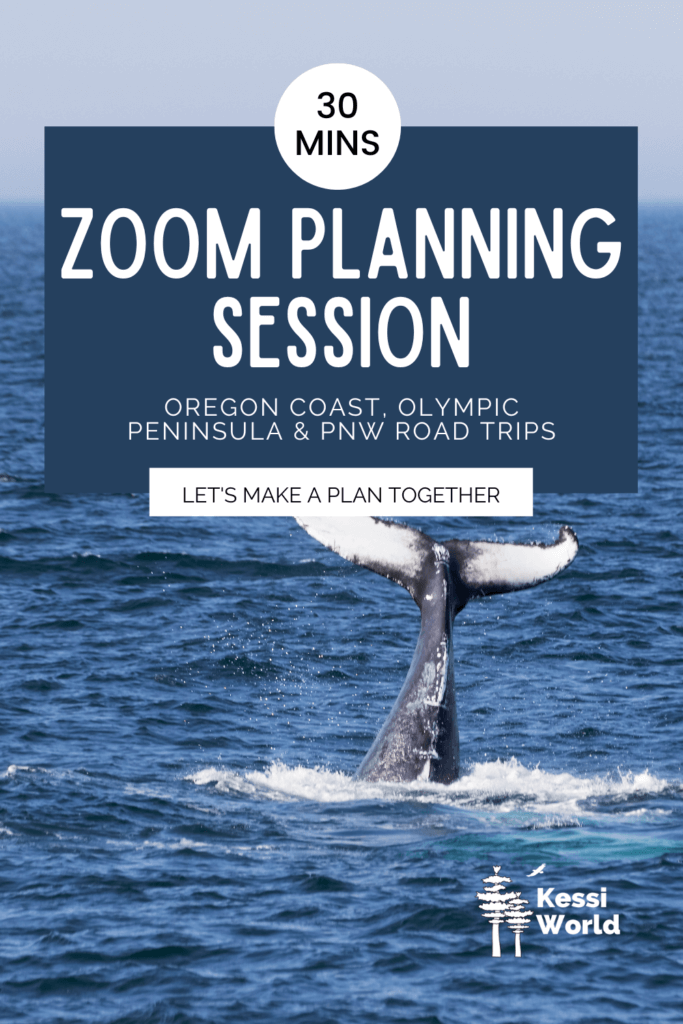 This product tile promotes a thirty minute zoom session to help people plans trips around the Pacific Northwest. In the photo is a whale diving into the blue ocean.