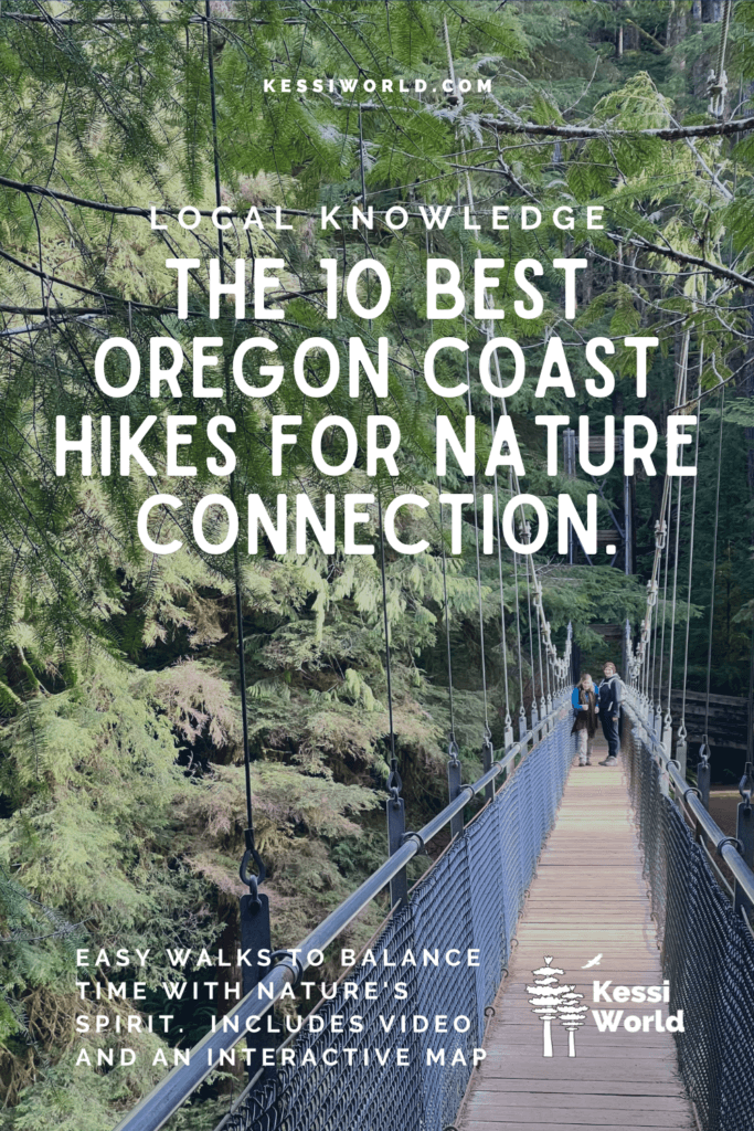 A pinterest pin that shows a suspension bridge crossing through a forest with two people standing on it. The words say "The 10 best Oregon Coast hikes for nature connection.