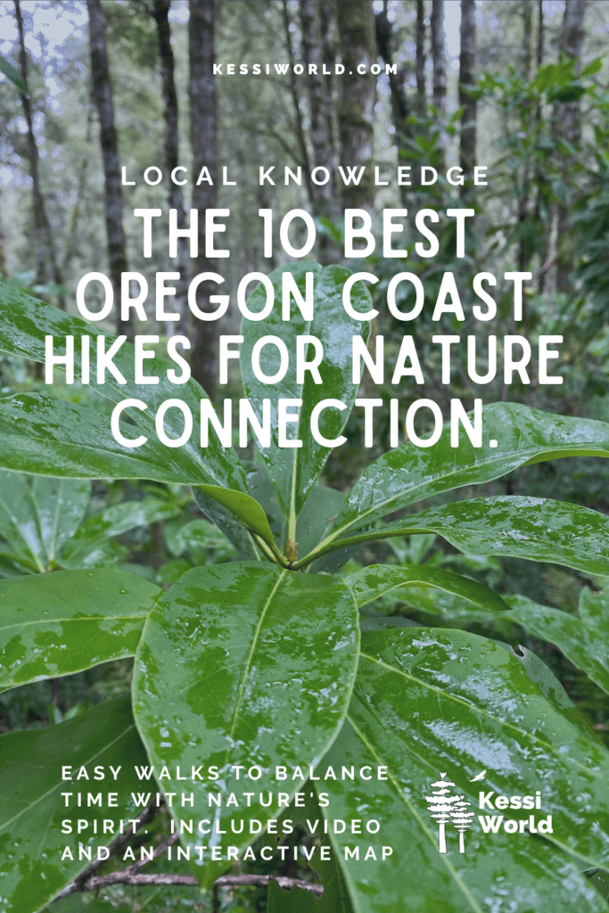 A pinterest pin that showcases the rich green of a rhododendron leave with water droplets on it and the words say "The 10 best Oregon Coast hikes for nature connection."