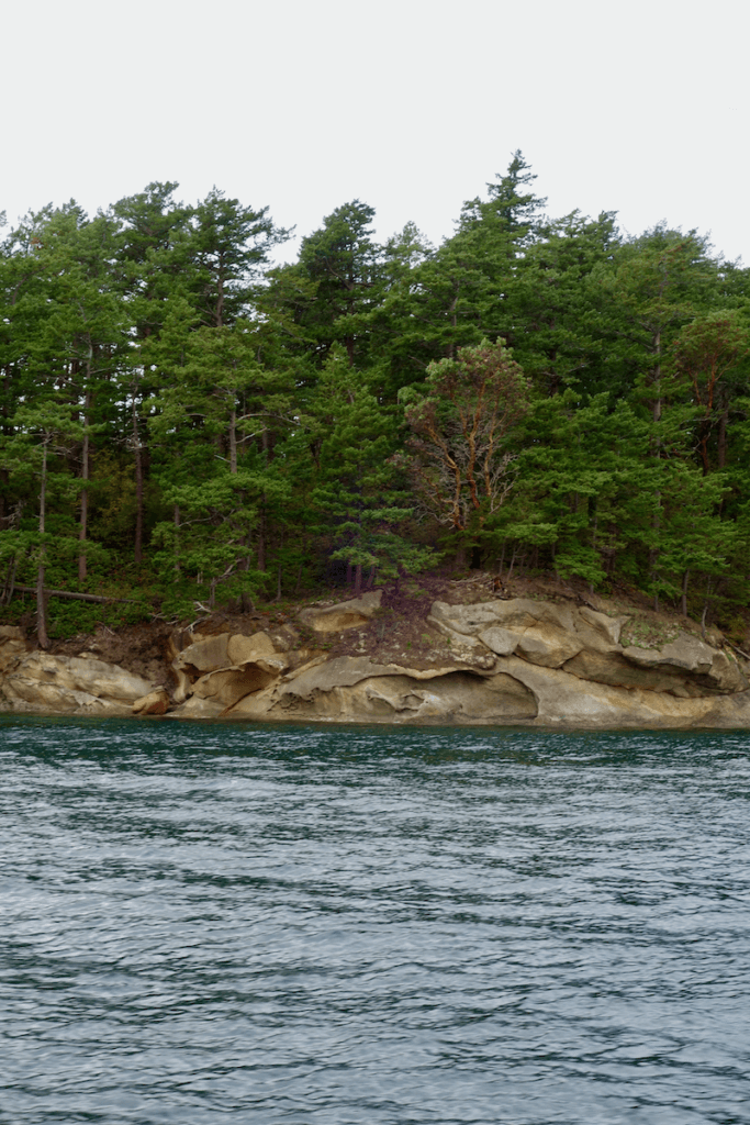 A view from the Puget Sound to San Juan Islands shows layers of rock scraped by glaciers millions of year ago. The land has an assortment of fir and madrona trees.