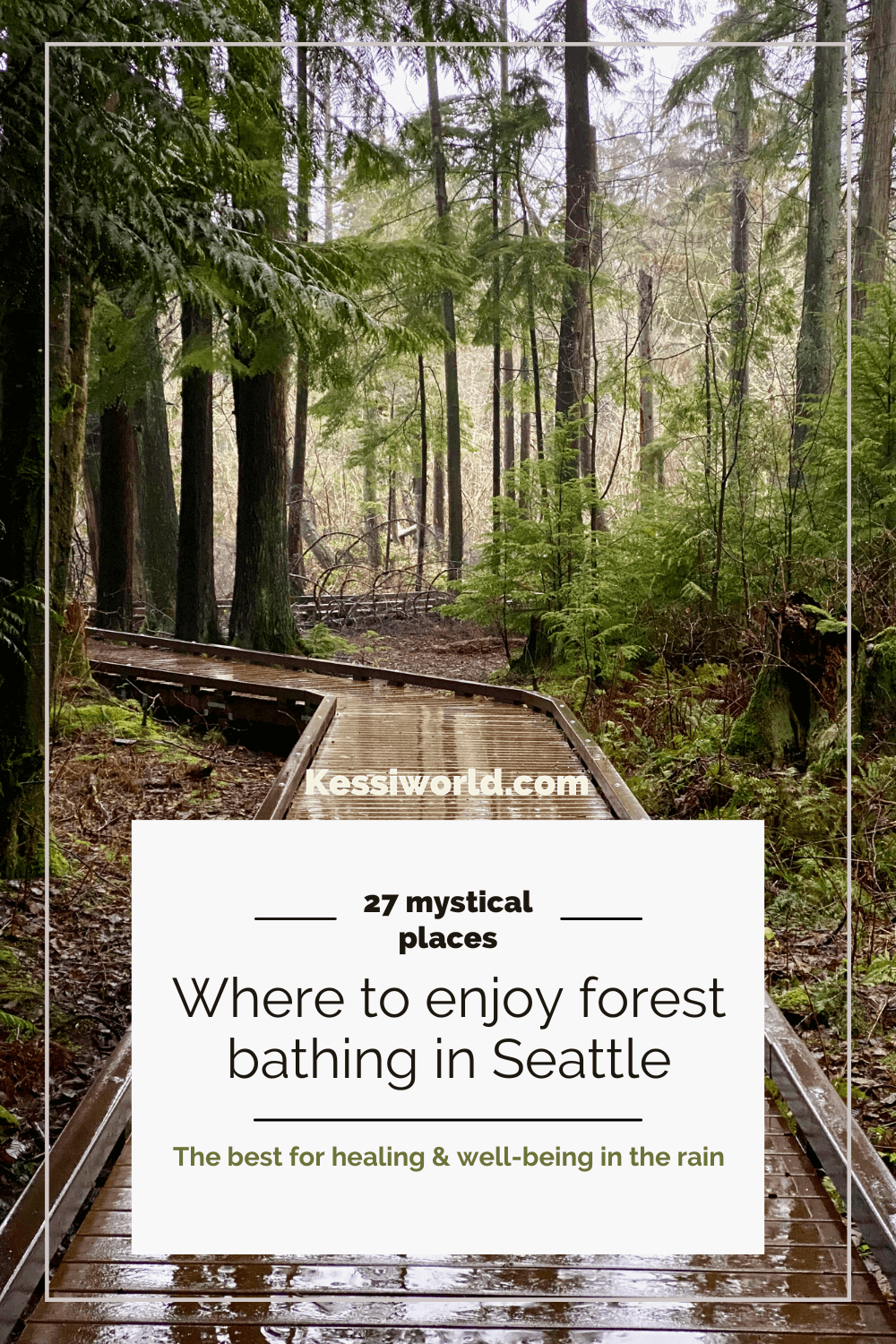 A pinterest pin about Forest Bathing in Seattle. The text is over a boardwalk that glistens with fresh rain. There are young adult trees in the background.